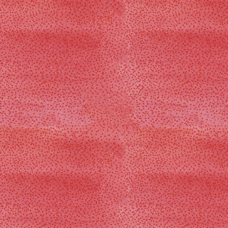 MINKY PRINTS             